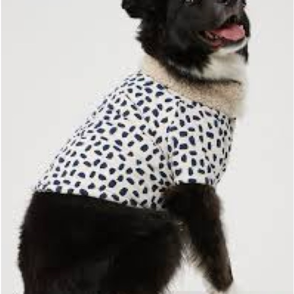 Aerie dog coat